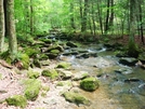 A. T. Stream Crossings At Warner Gap Hollow, Md, 06/06/09