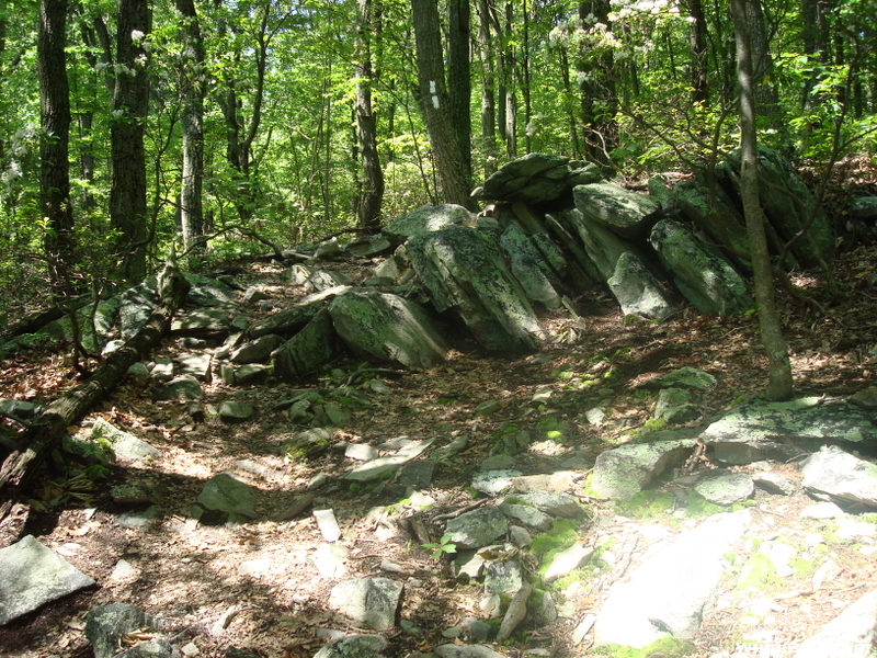 A. T. North Of Warner Gap Road, Md, 06/06/09