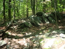 A. T. North Of Warner Gap Road, Md, 06/06/09