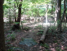 A. T. Crossing At Little Antietam Creek, Md, 06/06/09