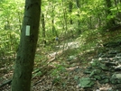 A. T. Ascent To Raven Rock, Md, 06/06/09