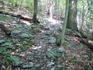 A. T. Ascent To Raven Rock, Md, 06/06/09