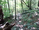 A. T. Ascent To Raven Rock, Md, 06/06/09