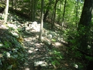 A. T. Ascent To Raven Rock, Md, 06/06/09