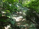 A. T. Ascent To Raven Rock, Md, 06/06/09 by Irish Eddy in Views in Maryland & Pennsylvania