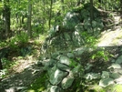 A. T. Ascent To Raven Rock, Md, 06/06/09 by Irish Eddy in Views in Maryland & Pennsylvania