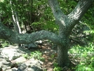 View From "Raven Rock", Md, 06/06/09 by Irish Eddy in Views in Maryland & Pennsylvania