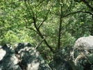 View From "Raven Rock", Md, 06/06/09 by Irish Eddy in Views in Maryland & Pennsylvania