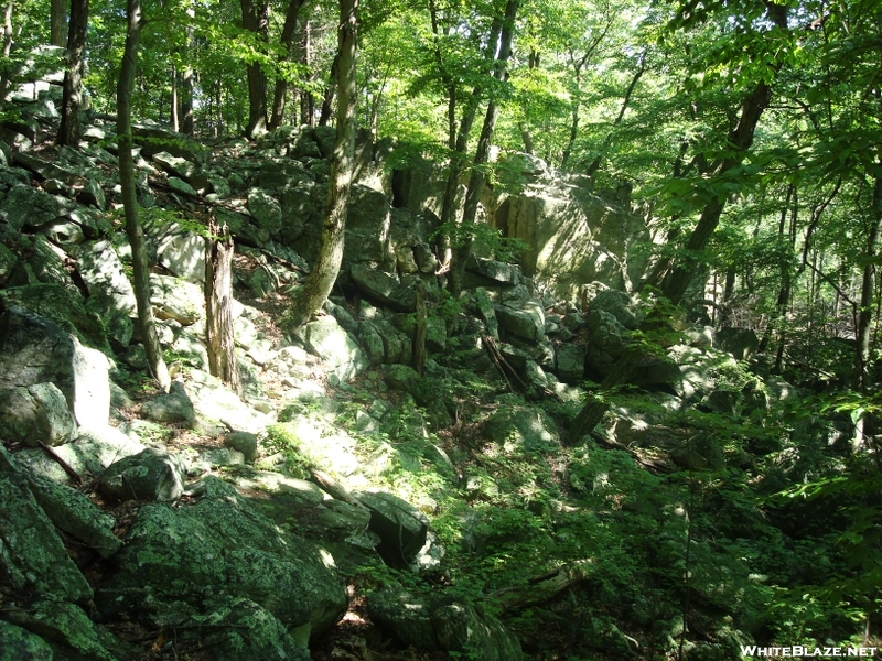 A. T. North Of "Raven Rock," Md, 06/06/09