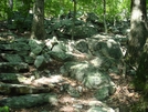 A. T. North Of "Raven Rock," Md, 06/06/09 by Irish Eddy in Views in Maryland & Pennsylvania