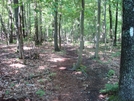 A. T. North Of "Raven Rock," Md, 06/06/09 by Irish Eddy in Views in Maryland & Pennsylvania