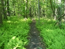 A. T. North Of "Raven Rock," Md, 06/06/09 by Irish Eddy in Views in Maryland & Pennsylvania