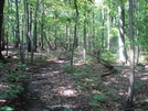 A. T. North Of Devils Racecourse/Raven Rock Shelter, Md, 06/06/09 by Irish Eddy in Views in Maryland & Pennsylvania