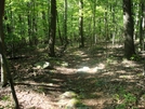 A. T. North Of Devils Racecourse/Raven Rock Shelter, Md, 06/06/09 by Irish Eddy in Views in Maryland & Pennsylvania