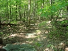 A. T. North Of Devils Racecourse/Raven Rock Shelter, Md, 06/06/09 by Irish Eddy in Views in Maryland & Pennsylvania