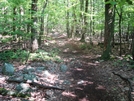 A. T. North Of Devils Racecourse/Raven Rock Shelter, Md, 06/06/09