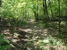 A. T. North Of Devils Racecourse/Raven Rock Shelter, Md, 06/06/09