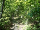 A. T. North Of Devils Racecourse/Raven Rock Shelter, Md, 06/06/09 by Irish Eddy in Views in Maryland & Pennsylvania