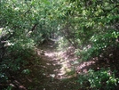 A. T. North Of Devils Racecourse/Raven Rock Shelter, Md, 06/06/09 by Irish Eddy in Views in Maryland & Pennsylvania