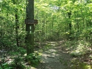 Access Trail To High Rock, Md, 06/06/09