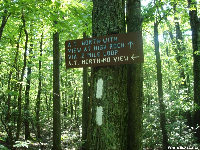 Access Trail To High Rock, Md, 06/06/09