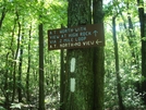 Access Trail To High Rock, Md, 06/06/09 by Irish Eddy in Views in Maryland & Pennsylvania