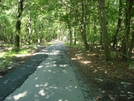 Access Trail To High Rock, Md, 06/06/09