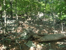 A. T. North Of High Rock, Md, 06/06/09