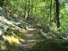 A. T. North Of High Rock, Md, 06/06/09