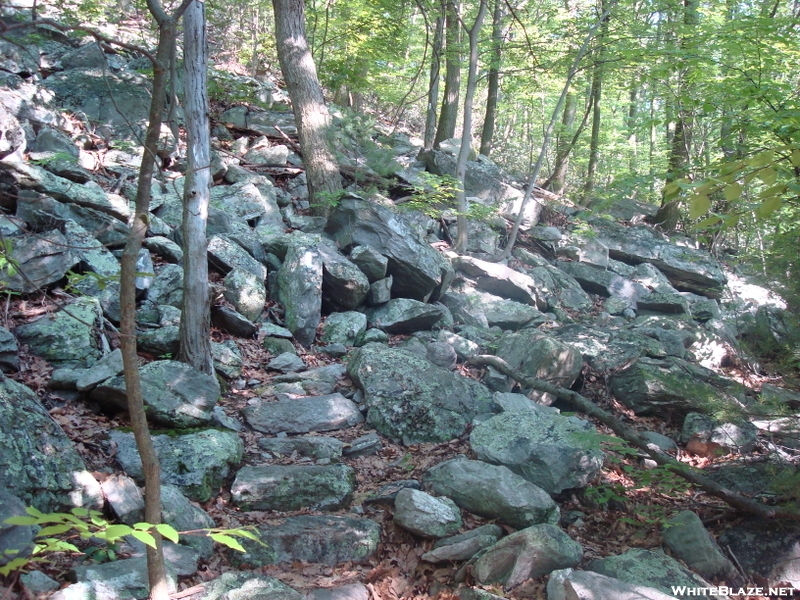 A. T. North Of High Rock, Md, 06/06/09