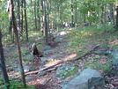 A. T. North Of High Rock, Md, 06/06/09