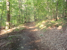 A. T. North Of High Rock, Md, 06/06/09