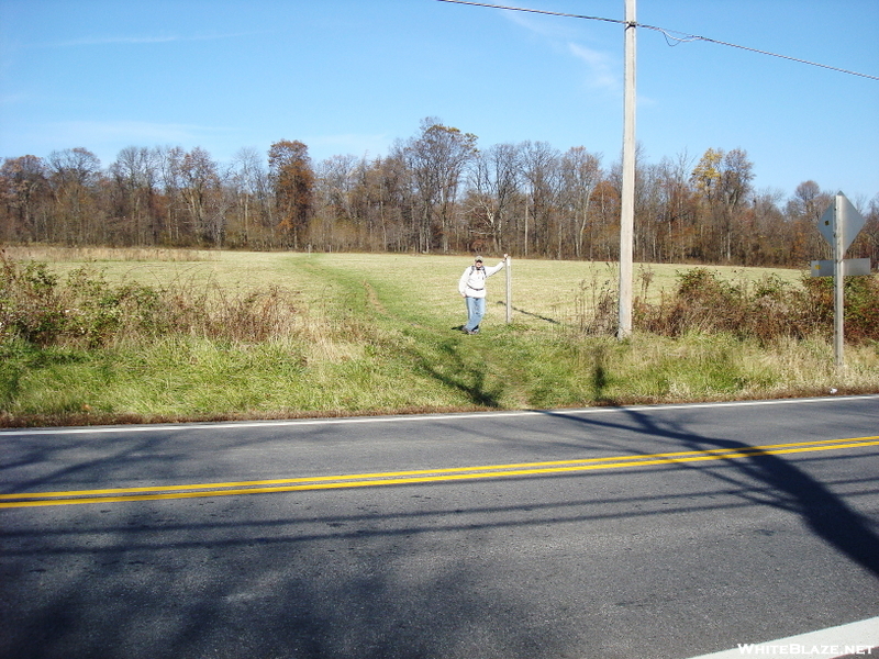 Hooligan At Foxville Road Crossing, Md Route 77, Md, 11/07/09