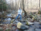 Hooligan At Stream Crossing, Warner Gap Hollow, Md, 11/07/09