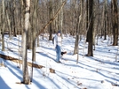 Hooligan And Paddy North Of Raven Rock, Md, 12/12/09