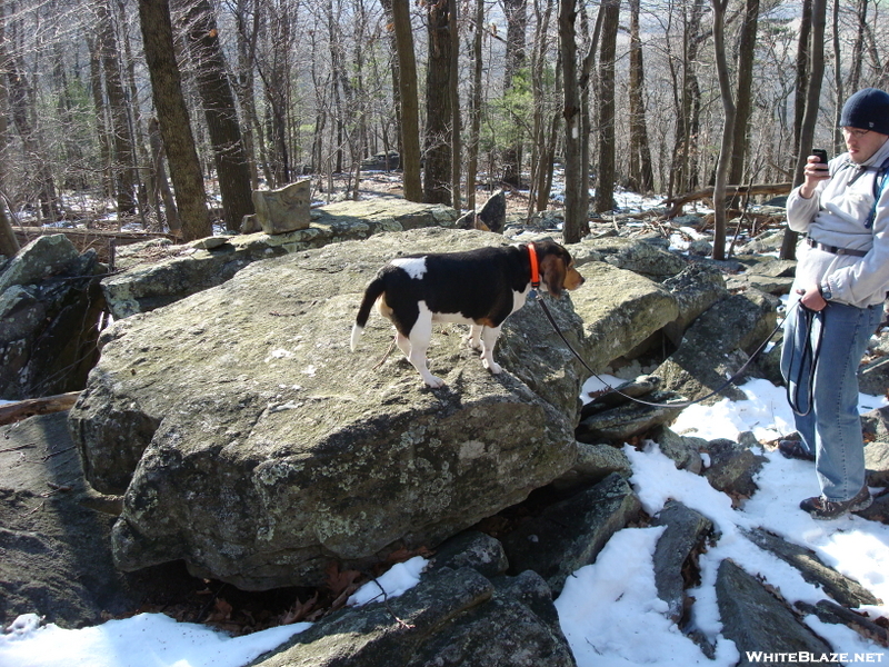 Hooligan And Paddy North Of High Rock, Md, 12/12/09