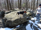 Hooligan And Paddy North Of High Rock, Md, 12/12/09 by Irish Eddy in Views in Maryland & Pennsylvania