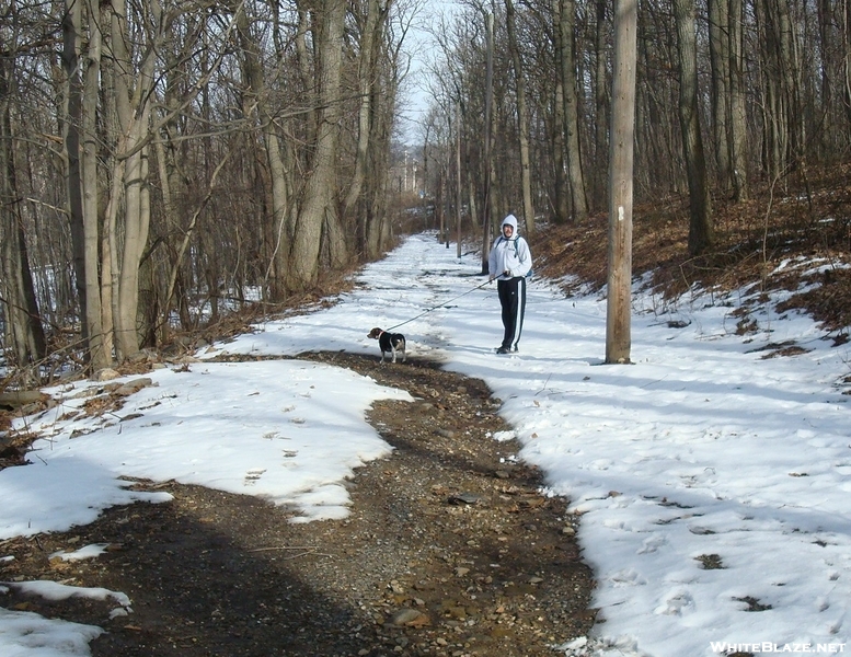 Hooligan And Paddy North Of Pen Mar Park, Md, 01/16/10