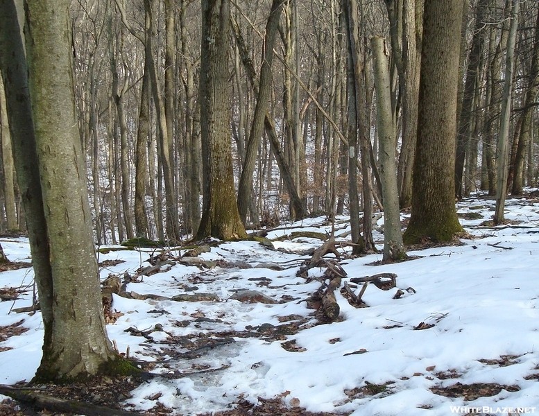 A.t. Descent To Falls Creek, Pa, 01/16/10