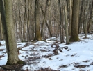 A.t. Descent To Falls Creek, Pa, 01/16/10 by Irish Eddy in Views in Maryland & Pennsylvania