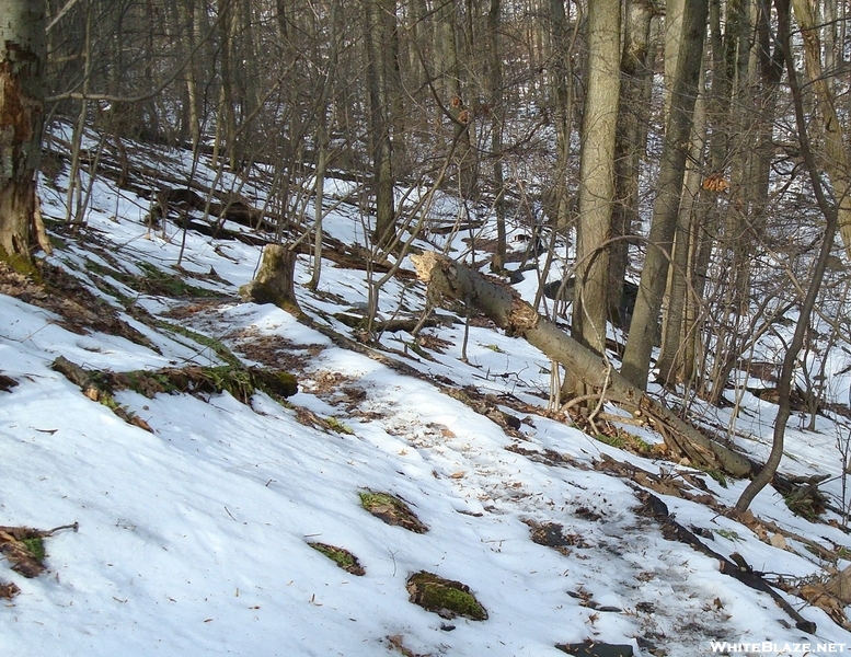 A.t. Descent To Falls Creek, Pa, 01/16/10