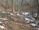 A.t. Ascent Of Mount Dunlop, Pa, 01/16/10