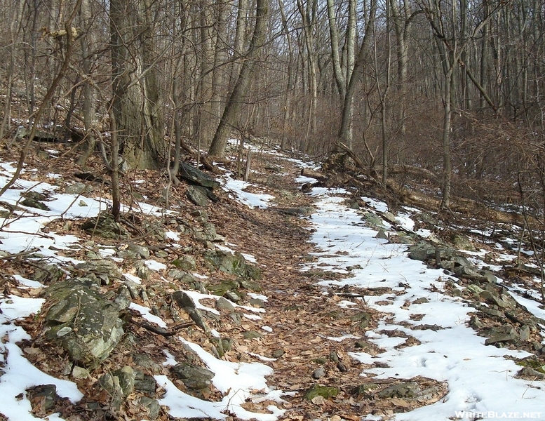 A.t. Ascent Of Mount Dunlop, Pa, 01/16/10