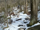 Buena Vista Road Crossing, Pa, 01/16/10 by Irish Eddy in Views in Maryland & Pennsylvania