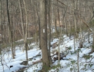 A.t. Ascent Of Mount Dunlop, Pa, 01/16/10 by Irish Eddy in Views in Maryland & Pennsylvania
