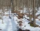 A.t. Ascent Of Mount Dunlop, Pa, 01/16/10 by Irish Eddy in Views in Maryland & Pennsylvania