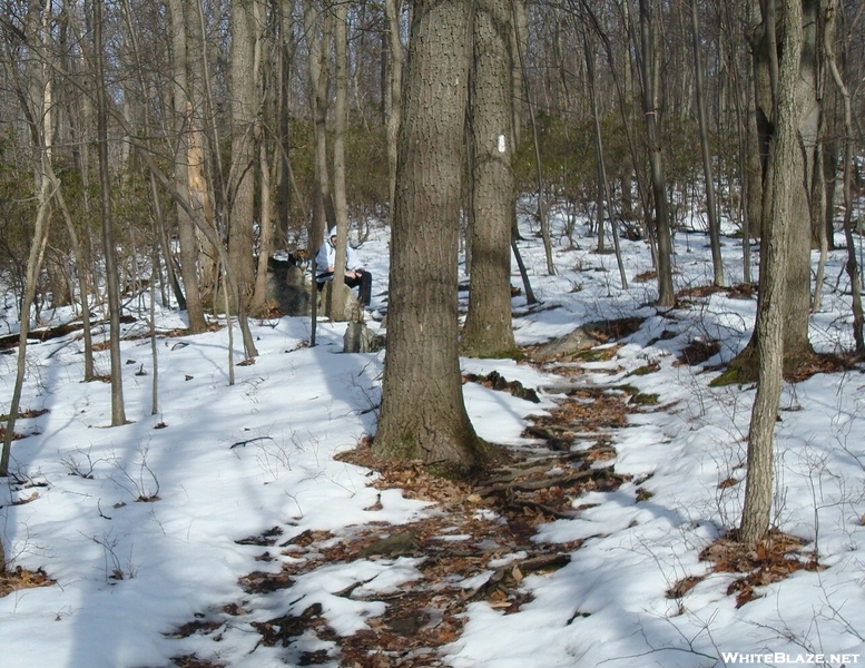 A.t. Ascent Of Mount Dunlop, Pa, 01/16/10