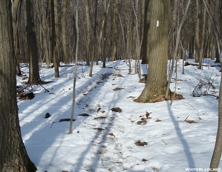 Mount Dunlop Summit, Pa, 01/16/10