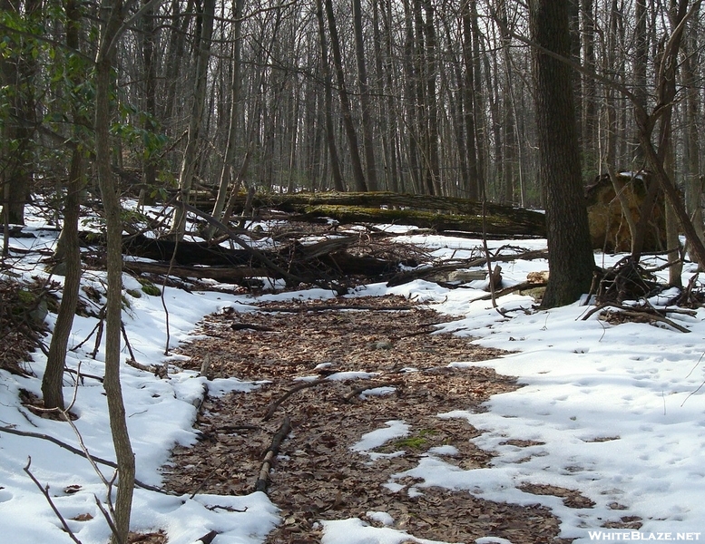 A.t. North Of Mount Dunlop, Pa, 01/16/10