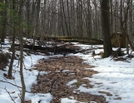 A.t. North Of Mount Dunlop, Pa, 01/16/10 by Irish Eddy in Views in Maryland & Pennsylvania